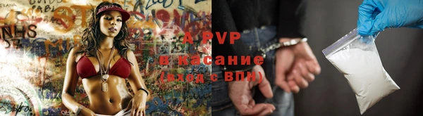 винт Аркадак