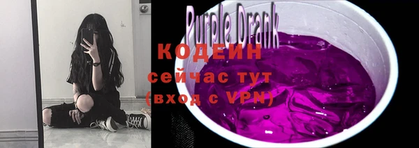 прущий лед Арсеньев